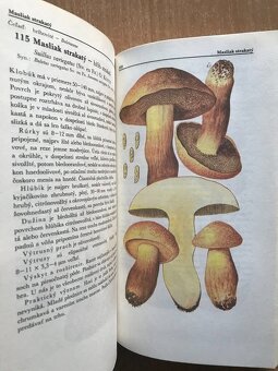 5 x literatura o hubach - 5