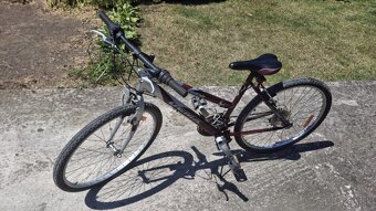 Horský bicykel DEMA - 5