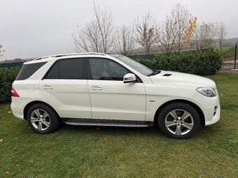Mercedes Benz ML 250 4MATIC - 5