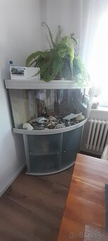 Akvarium - 5