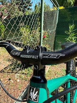 Kellys Whip 50 custom - 5