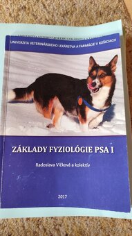 Predám skriptá - 5