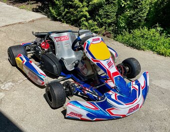 Motokára 125 rotax MSKART - 5