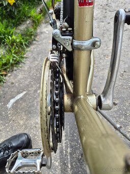 Bicykel Dema - 5