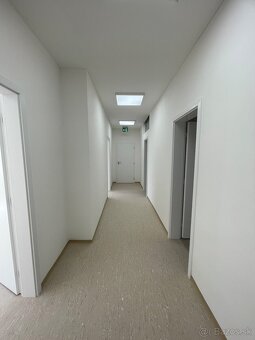 Strojové omietky - 5