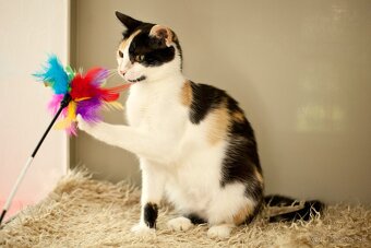 ❤ Priscila - jemná a citlivá dušička - 5