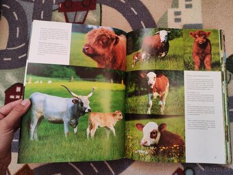 1000 mláďat (SK) - 5