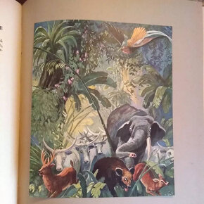 Rudyard Kipling-Druhá kniha džunglí - 5