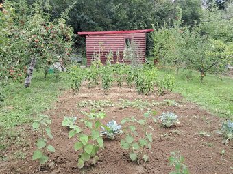 Predaj zahrady v Bojniciach - 5