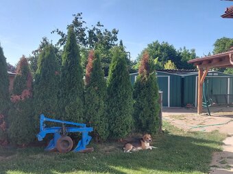 Predám RD v Golianove - 5