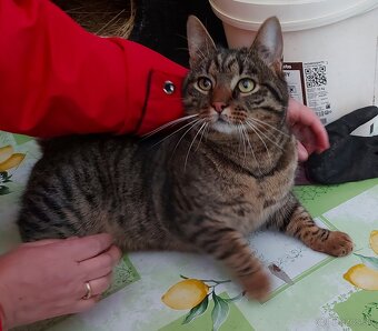 Kryštofko hlada domov - 5