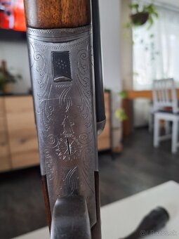 Gulobrok - 5