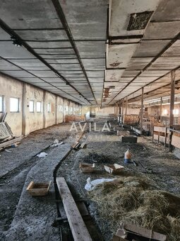 NA PRENÁJOM: veľkometrážna hala 5600m2 - Hrašné - 5