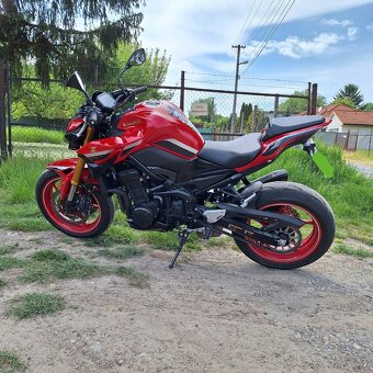 Kawasaki Z 900 50Th Lilmited edition - 5