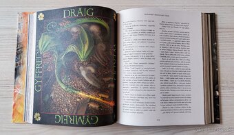 KNIHA HARRY POTTER A OHNIVÝ POHÁR - ILUSTROVANÉ VYDANIE - 5