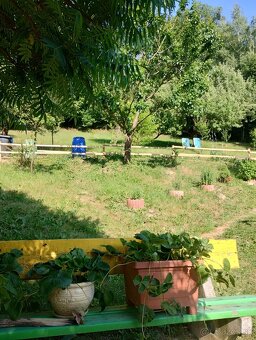 Rodinný dom v Rožňave - 5