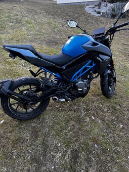 Cf Moto 300NK - 5