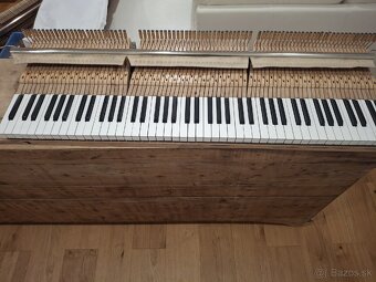 Projekt klavír Hoffman & Czerny - 5