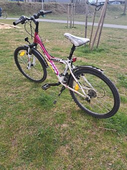 Dievčenský bicykel,CTM-Willy 24" - 5