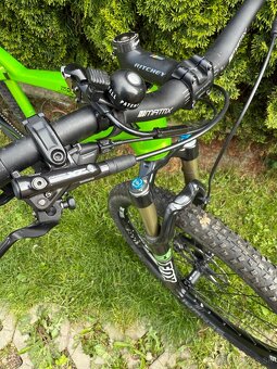 Predam Bergamont Roxtar 9.0 karbon - 5