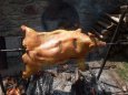 Gril / grilovacia ihla - prasa, stehno, morka, kurča, gyros, - 5