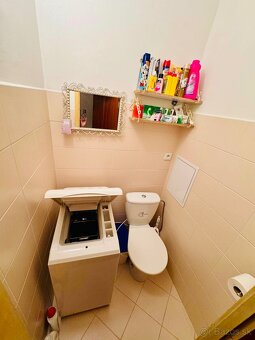 Prenájom 3 izbový byt Ľadoveň - 5