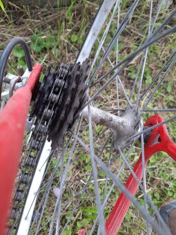 Favorit  F1 special, Campagnolo - 5