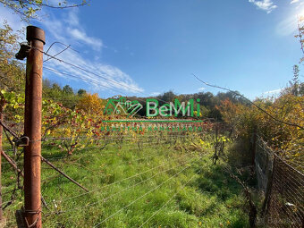 Pozemky Nitra Dražovce " pod Zoborom " ID 528-14-MIG - 5