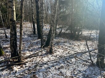 PREDAJ lesný pozemok, Chotár, Nová Baňa, 10 842 m2 - 5