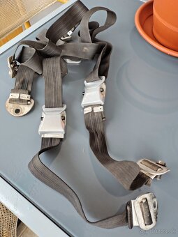 MORAVANY PASY SKODA 1000MB - 5