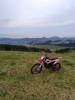 Dirt bike Apollo lizard RFZ 250 - 5