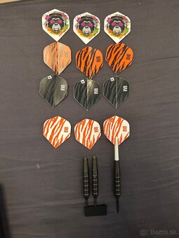 Predam šipky Raymonda Van Barnevelda - 5