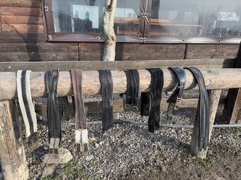 Vypratavanie sedlovne - 5