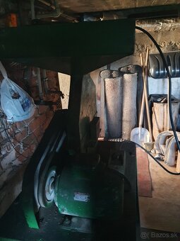 Kladivkovy srotovnik - 5