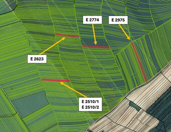 Slovenský Grob -26.000 m2 ORNÁ PÔDA - 5