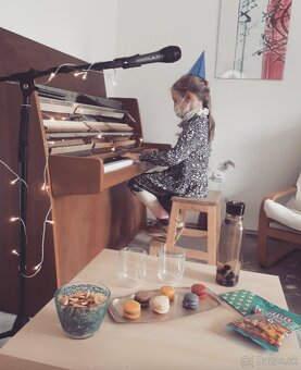 Súkromné hodiny klavíra/ Private piano lessons - 5