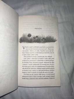 Úplne nová kniha Krutý princ – Holly Black (Férska sága 1) - 5