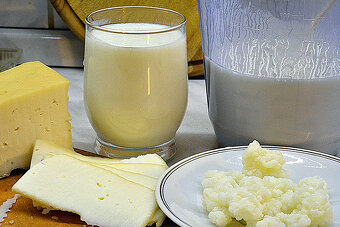 Kefír - Tibetská huba - 5