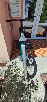 Ctm dirtking 2021 - 5