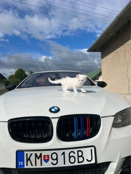 BMW e92 coupe - 5