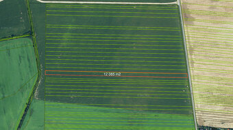 Pozemky v krásnom prostredí v Chorvátskom Grobe za priaznivú - 5