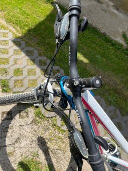 Bicykel CTM Charisma 1.0 26" - 5