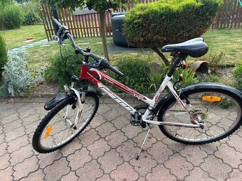 Dámsky horský bicykel CTM - 5
