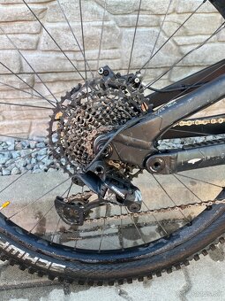 Predam YT capra 2023 - 5