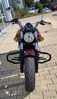 Indian - 5
