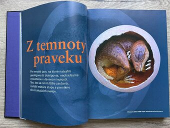 Zem,planéta záhad za 7EUR - 5