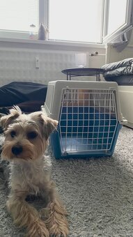 Prepravka pre psa - 5