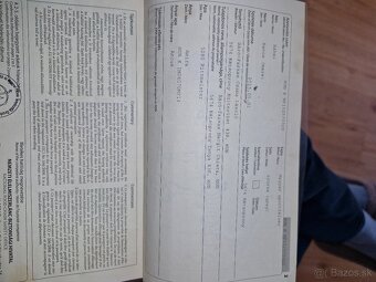 Športová kobyla s výborným pôvodom - 5