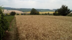 Rekreačný pozemok na chatu o výmere 3200m2.-lacno - 5