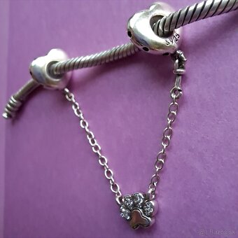 Bezpečnostná retiazka Labka - 5